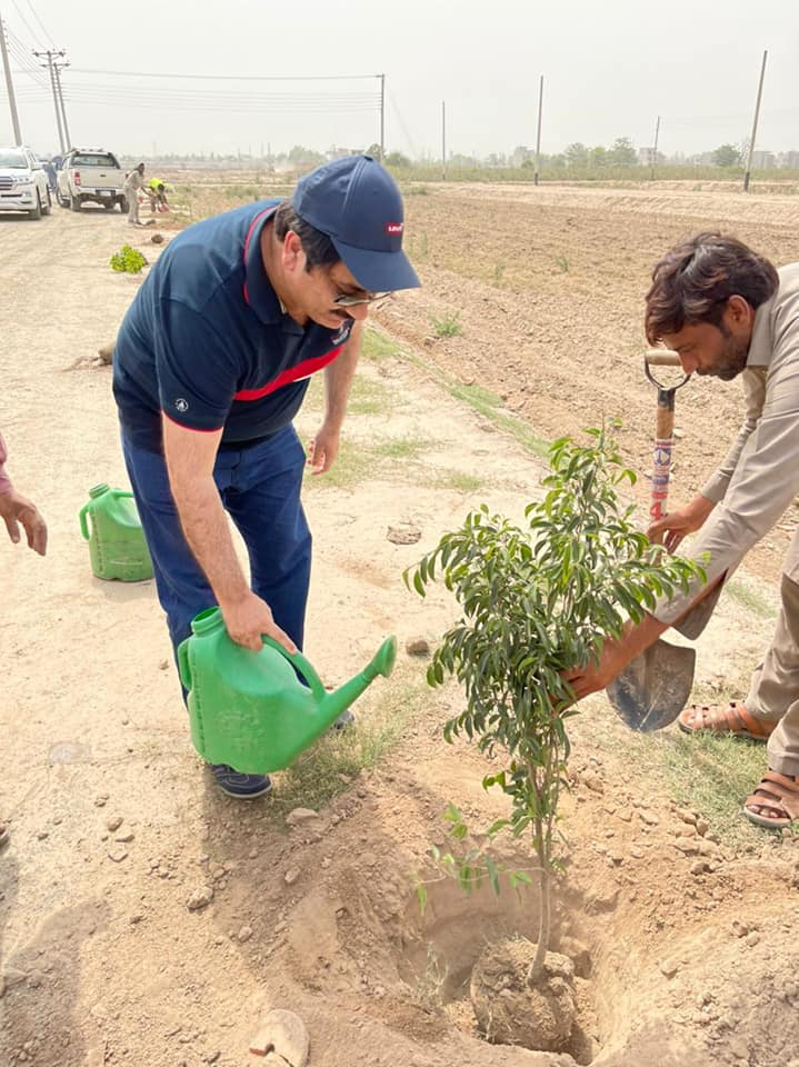 Million tree plantation project